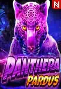 Panthera Pardus