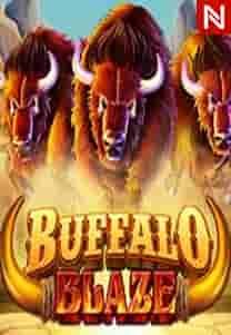 Buffalo Blaze