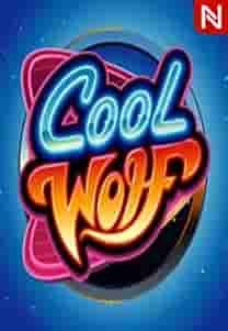 Cool Wolf