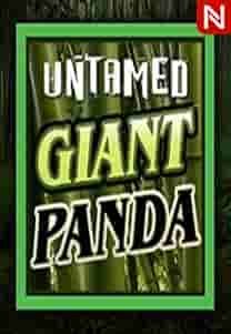 Untamed - Giant Panda